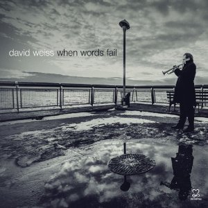 DAVID WEISS / デヴィッド・ヴァイス / When Words Fail 