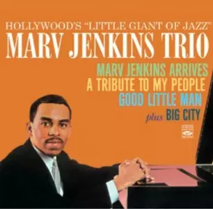 Marv Jenkins At The Rubaiyat Room レコード MARV JENKINS / マーブ・ジェンキンス商品一覧｜JAZZ｜ディスク
