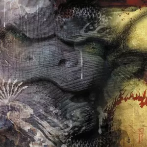 Z.O.A 「Confusion in Normality 」新品CD ゾア ZOA / Confusion In Normality Z.O.A