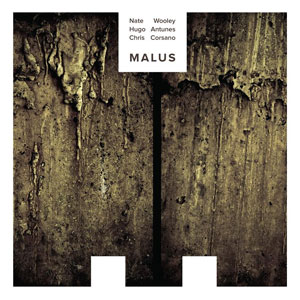 NATE WOOLEY / ネイト・ウーリー / Malus(LP)