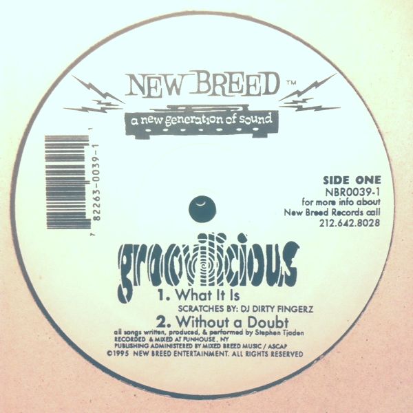 GROOVILICIOUS / WHAT IT IS