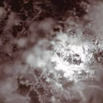 MIKE WEIS / DON'T KNOW,JUST WALK