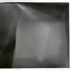 HUMBLE BEE / SHE POSSESSED THE SECRET...