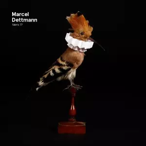 MARCEL DETTMANN / マルセル・デットマン / FABRIC 77