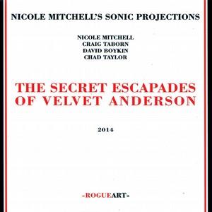 NICOLE MITCHELL / ニコール・ミッチェル / Secret Escapades Of Velvet Anderson