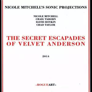 NICOLE MITCHELL / ニコール・ミッチェル / Secret Escapades Of Velvet Anderson