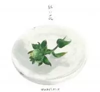 世田谷ピンポンズ / 紅い花