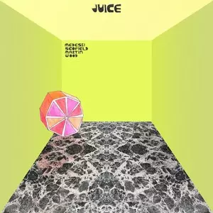 MEDESKI SCOFIELD MARTIN & WOOD / メデスキ・スコフィールド