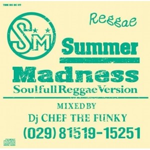 DJ CHEF THE FUNKY / SUMMER MADNESS "Soulful Reggae Version"