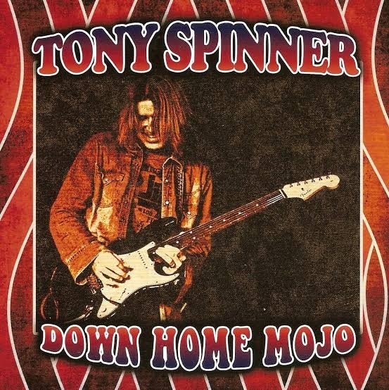 TONY SPINNER / トニー・スピナー / DOWN HOME MOJO<DIGI>