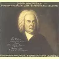 REYKJAVIK CHAMBER ORCHESTRA / レイキャヴィク室内管弦楽団 / BACH:BRANDENBURG CONCERTOS