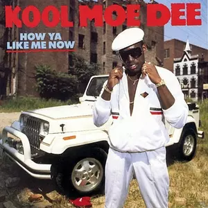 KOOL MOE DEE / クール・モー・ディー商品一覧｜HIPHOP / 日本語RAP