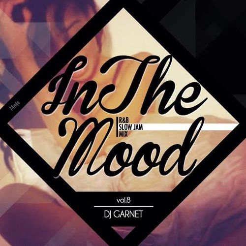 DJ GARNET / IN THE MOOD VOL.8