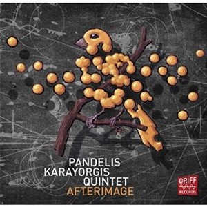 PANDELIS KARAYORGIS / Afterimage 