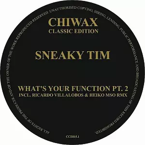 SNEAKY TIM / WHAT'S YOUR FUNCTION PT.2