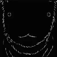 谷口マルタ正明 / まぼろし