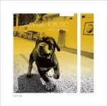 Jam Cracker Record商品一覧｜JAZZ｜ディスクユニオン