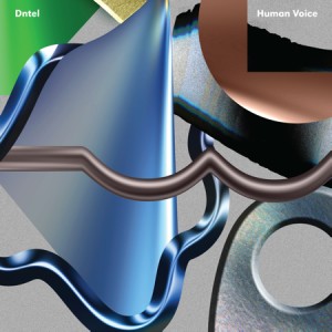DNTEL / ドゥンテル / HUMAN VOICE (LP + DOWNLOAD CARD)