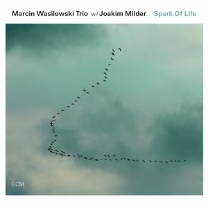 MARCIN WASILEWSKI (SIMPLE ACOUSTIC TRIO) / マルチン・ボシレフスキ(シンプル・アコースティック・トリオ) / Spark of Life