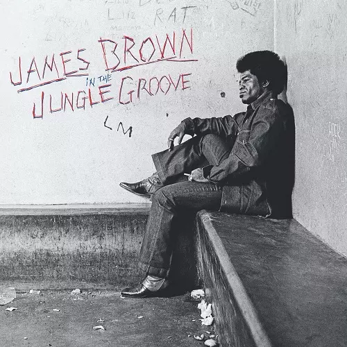 送料無料 In the Jungle Grooveジェームス・ブラウン2LP IN THE JUNGLE GROOVE (2LP)/JAMES BROWN/ジェームス・ブラウン