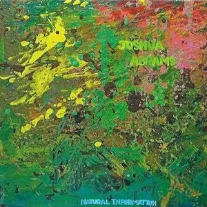 JOSHUA ABRAMS  / ジョシュア・エイブラムス / Natural Information