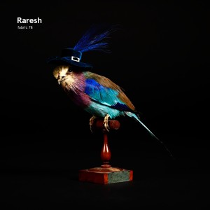 RARESH / ラレッシュ / FABRIC 78