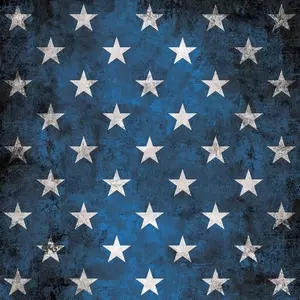新品 Apollo Brown &Ras Kass /Blasphemy LP BLASPHEMY (2LP - 180g Black Vinyl)/APOLLO BROWN & RAS KASS｜HIPHOP