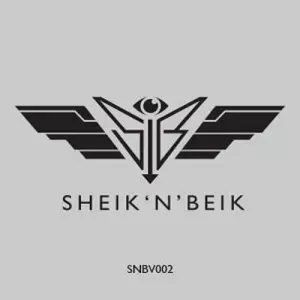 VOISKI / SPOTLIGHT DIKTAT EP