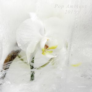 V.A.(POP AMBIENT) / POP AMBIENT 2015 / ポップ・アンビエント 2015
