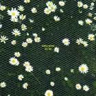 STEFNY WINTER / FALL