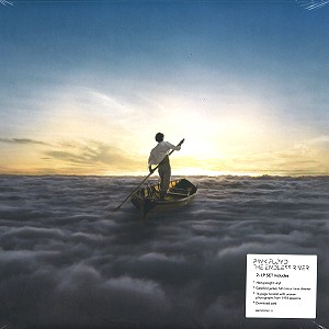 PINK FLOYD / ピンク・フロイド / THE ENDLESS RIVER - LIMITED VINYL (US/WORLD WIDE)