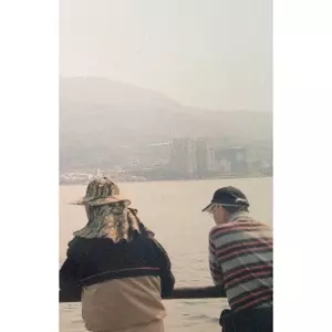 森は生きている / 煙夜の夢
