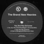 YOU ARE THE UNIVERSE/BRAND NEW HEAVIES/ブラン・ニュー・ヘヴィーズ