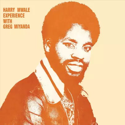 HARRY MWALE EXPERIENCE / ハリー・ンワレ・エクスペリエンス / HARRY MWALE EXPERIENCE