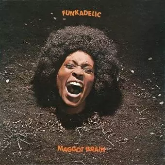 FUNKADELIC / ファンカデリック / MAGGOT BRAIN (180G LP)