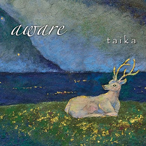 TAIKA / タイカ / AWARE / aware