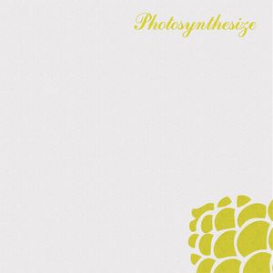 ODD MUSIC / PHOTOSYNTHESIZE EP
