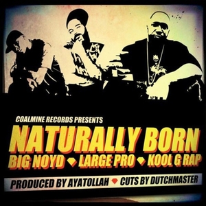 V.A.(Big Noyd & Large Professor & Kool G Rap) / Naturally Born b/w Cookin' Soul Remix (7")