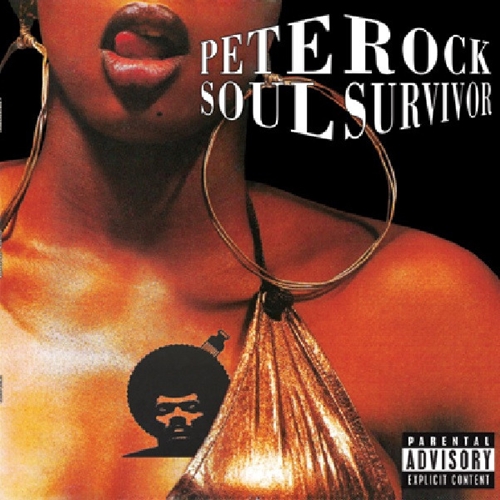 PETE ROCK / ピート・ロック / SOUL SURVIVOR "2LP" (RANDOM MIX COLOUR VINYL) /  