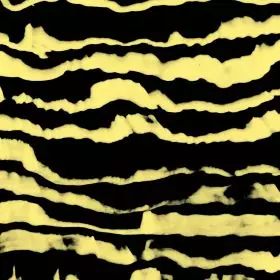 GAJEK / RESTLESS SHAPES