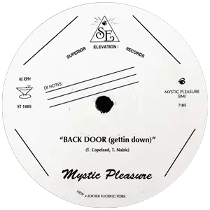 TOM NOBLE & MYSTIC PLEASURE / BACK DOOR (12")