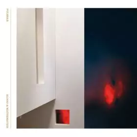 PULSHAR / BLOOD & MATHEMATICS 