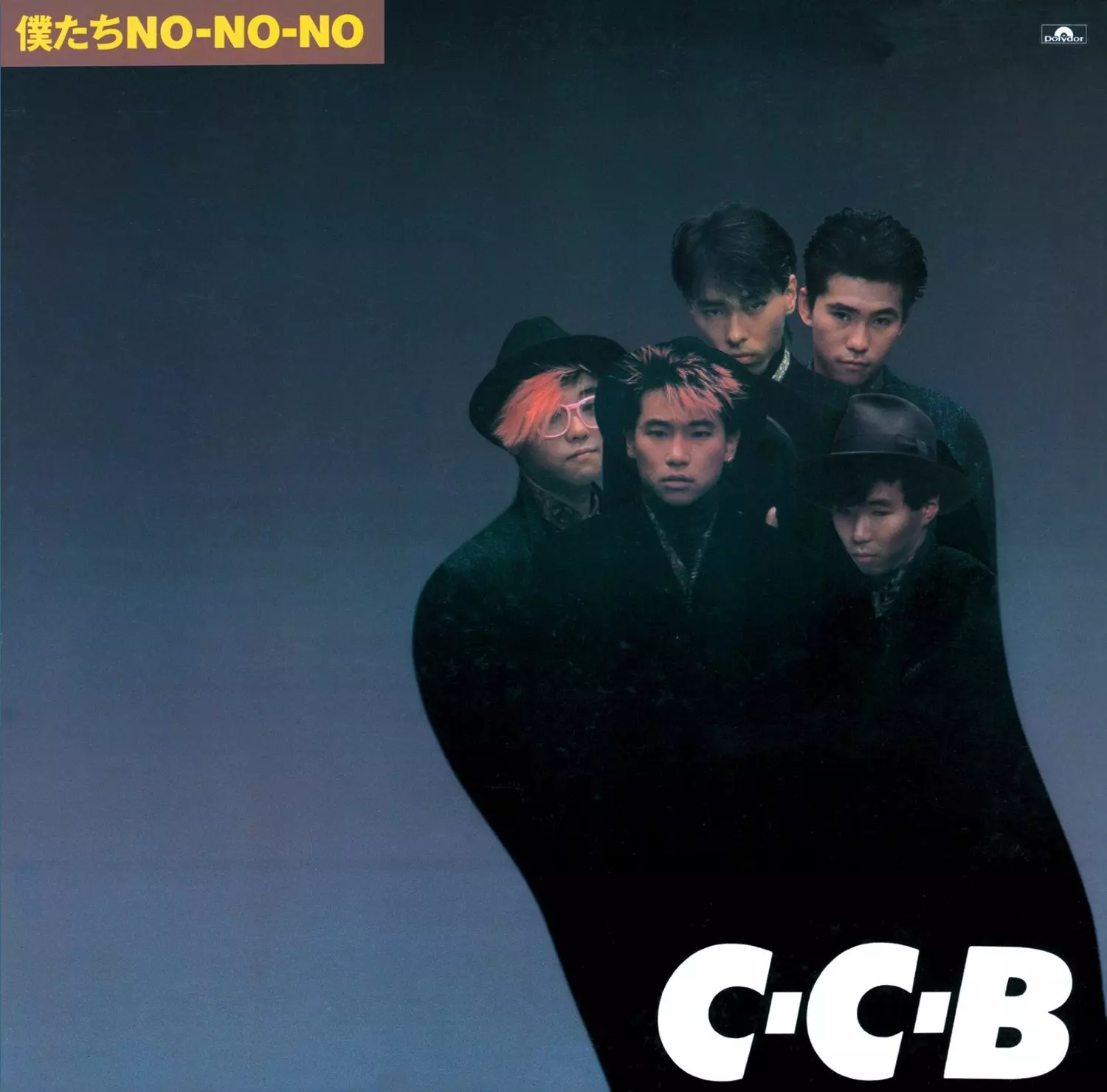 入荷!COCONUT BOYS~C-C-Bのアルバム全9タイトルがSHM-CDで堂々の一挙