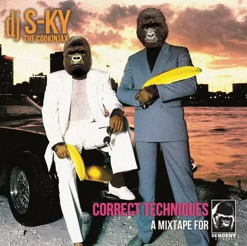 DJ S-KY THE COOKINJAX / CORRECT TECHNIQUES