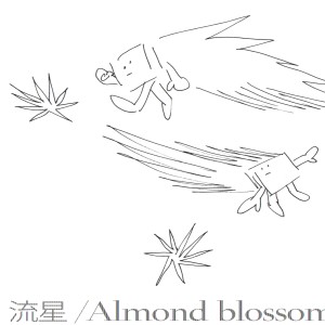 Almond blossom / 流星