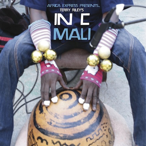 AFRICA EXPRESS / アフリカ・エクスプレス / AFRICA EXPRESS PRESENTS...TERRY RILEY'S IN C MAL