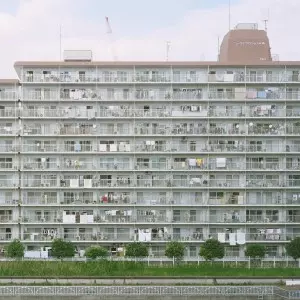 毛玉 / 新しい生活