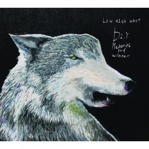 LOW HIGH WHO? / ロウ・ハイ・フー? / D.I.Y. -Memories and Winter-