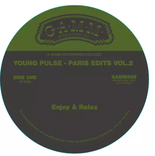 YOUNG PULSE / PARIS EDITS VOL.2