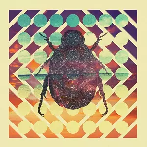 BEARDYMAN / DISTRACTIONS